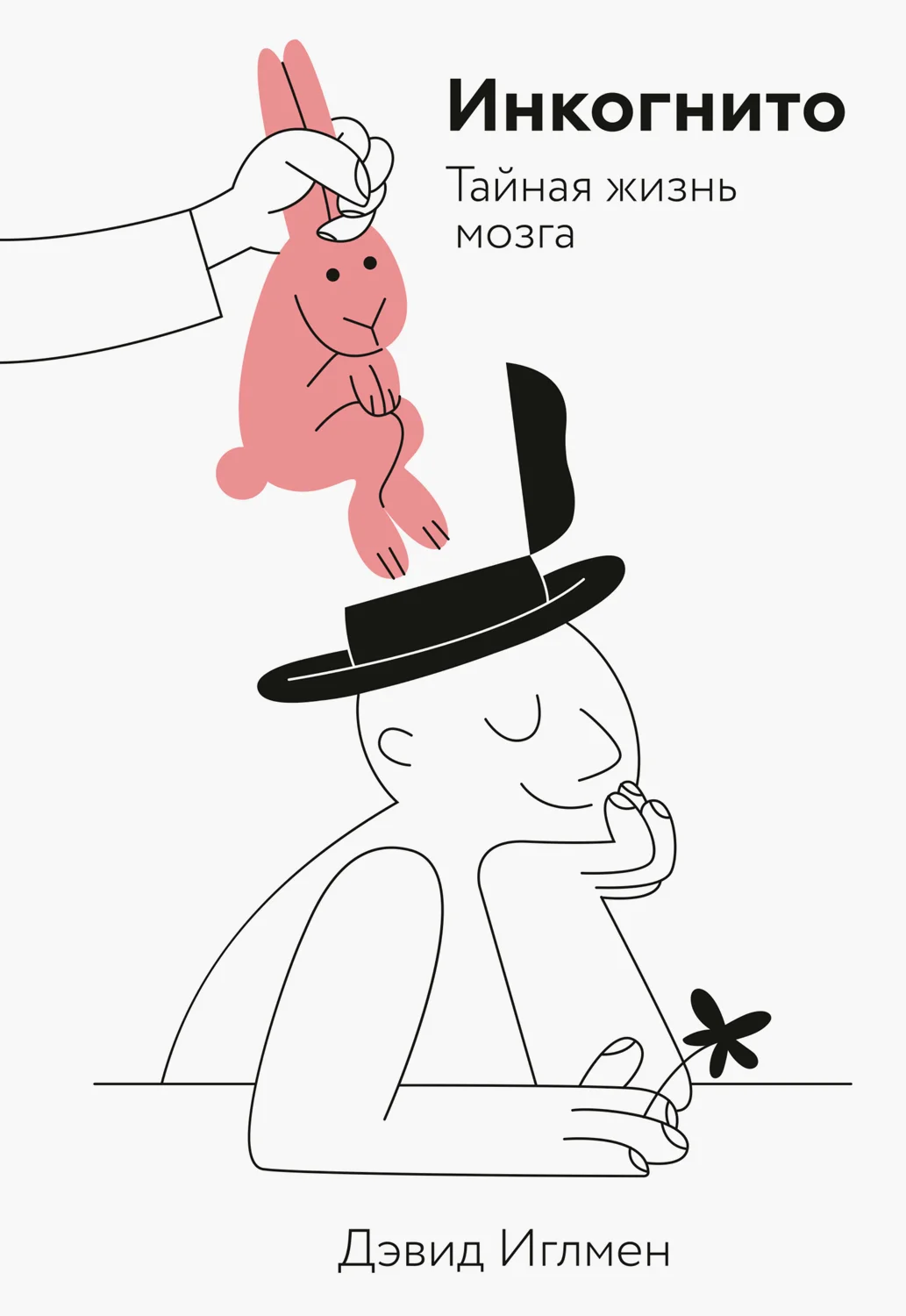 Обложка Инкогнито. Тайная жизнь мозга