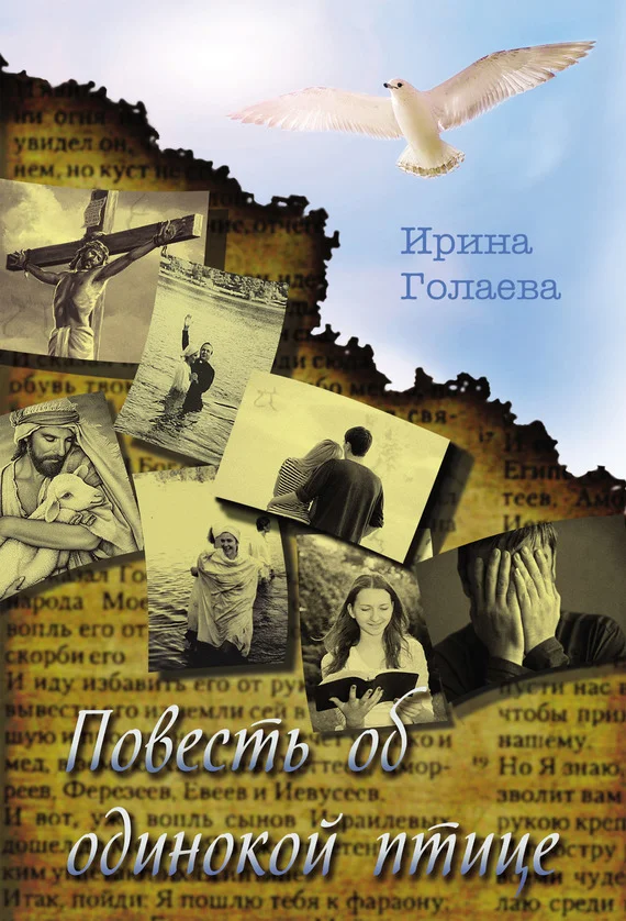 Обложка Повесть об одинокой птице