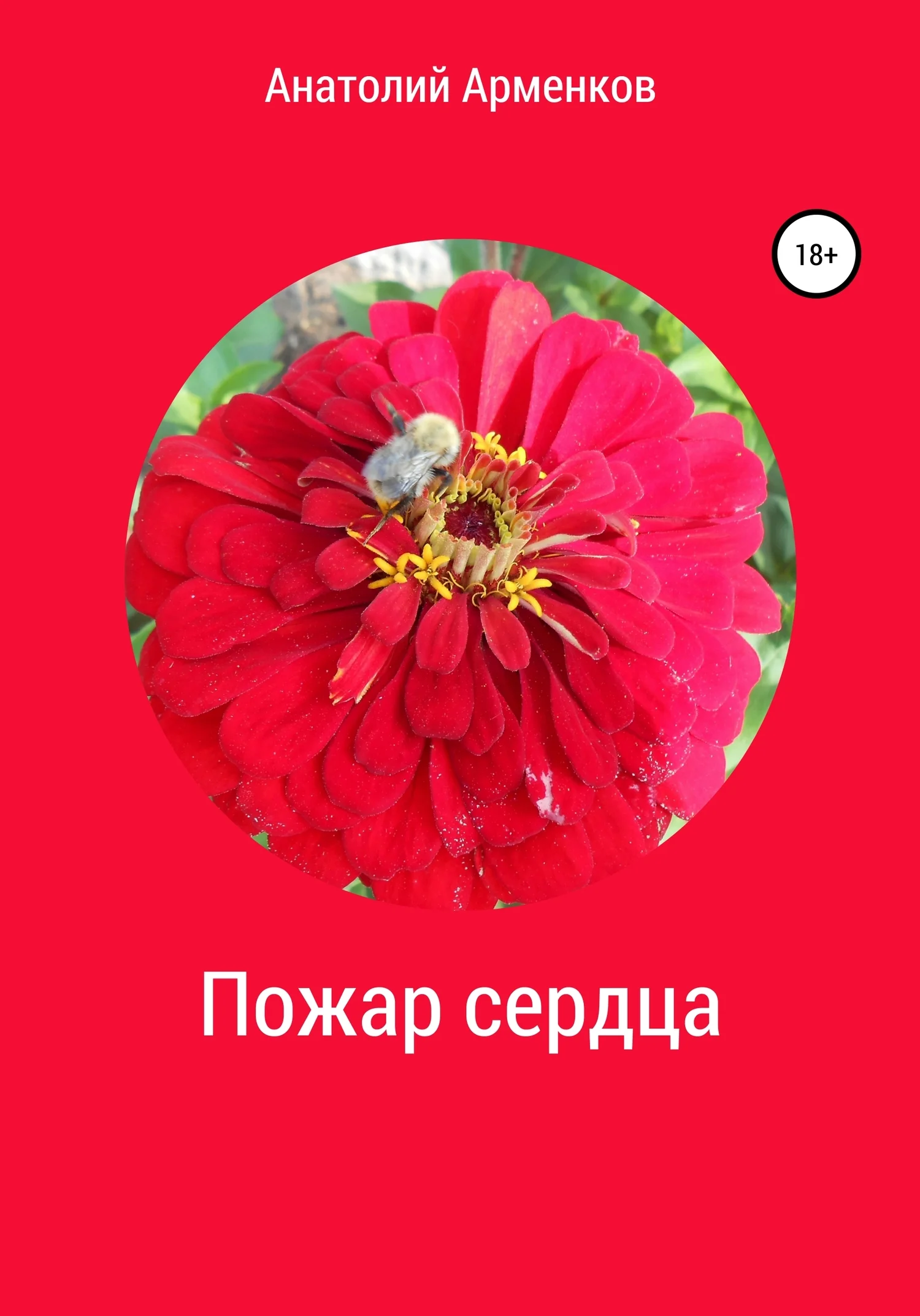 Обложка Пожар сердца