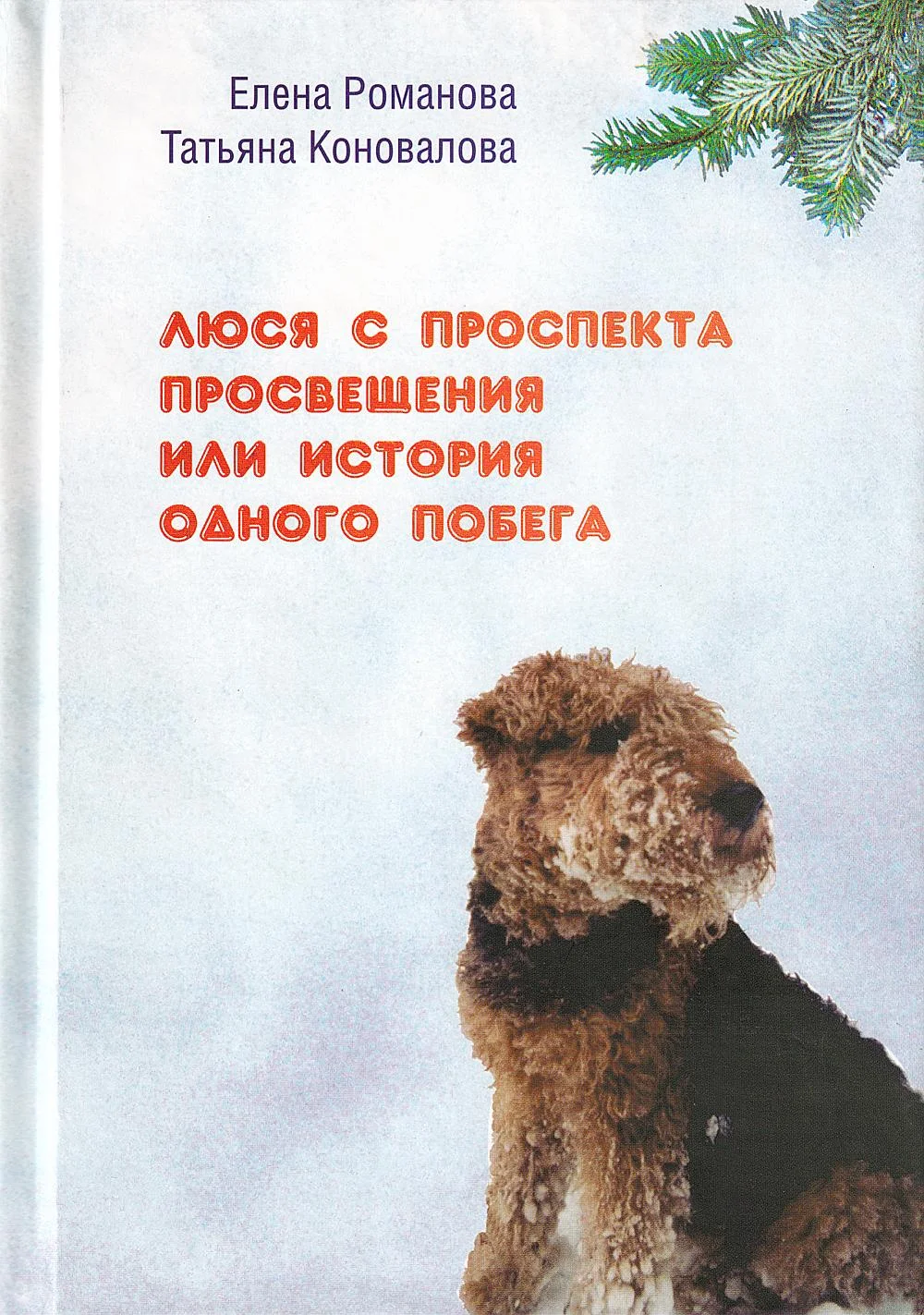 Обложка Люся с проспекта Просвещения или История одного побега