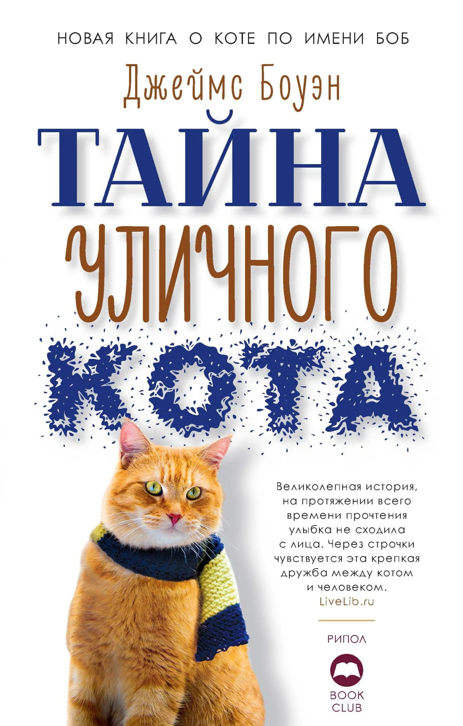 Обложка Тайна уличного кота