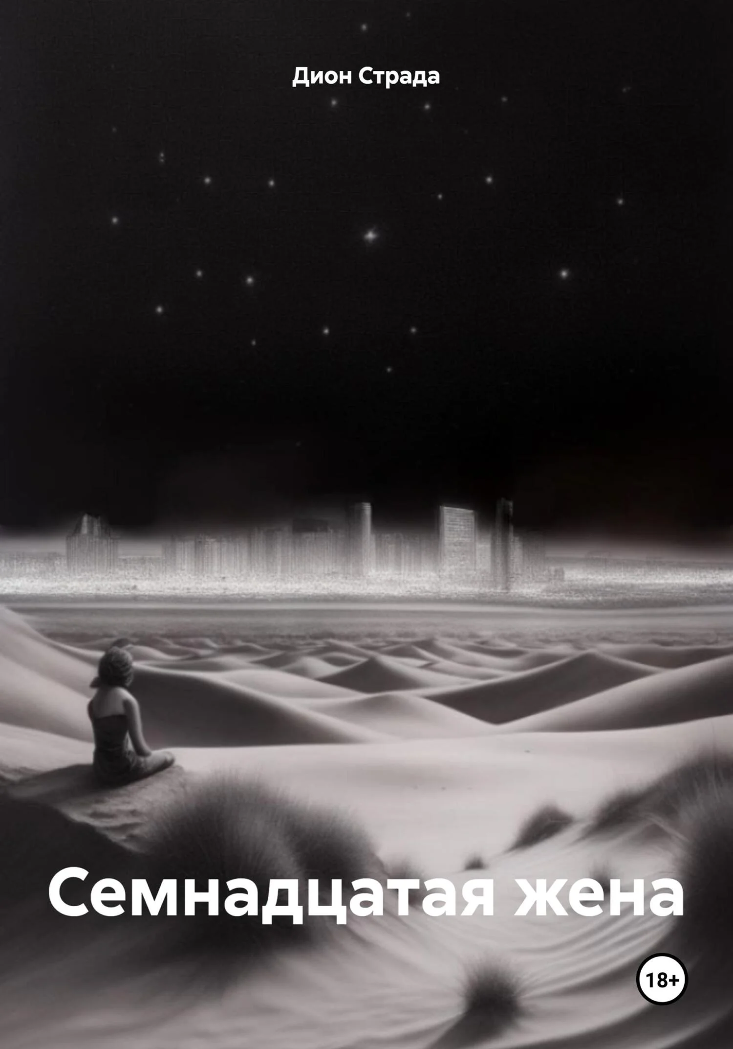 Обложка Семнадцатая жена