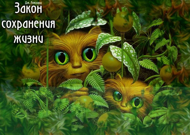 Обложка Закон сохранения жизни