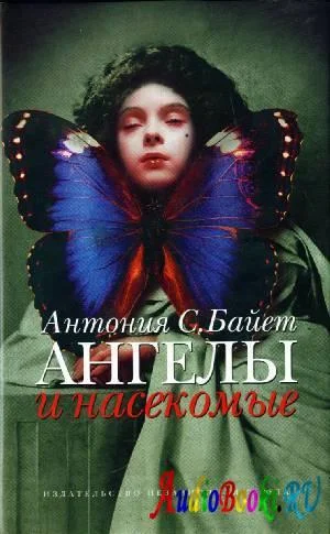 Обложка Морфо Евгения