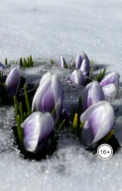 Обложка Русский романс