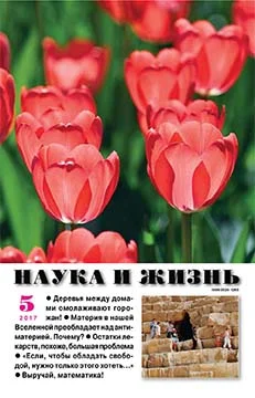 Обложка Свой мир