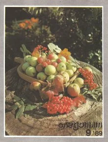 Обложка Вова на планете Тарарум