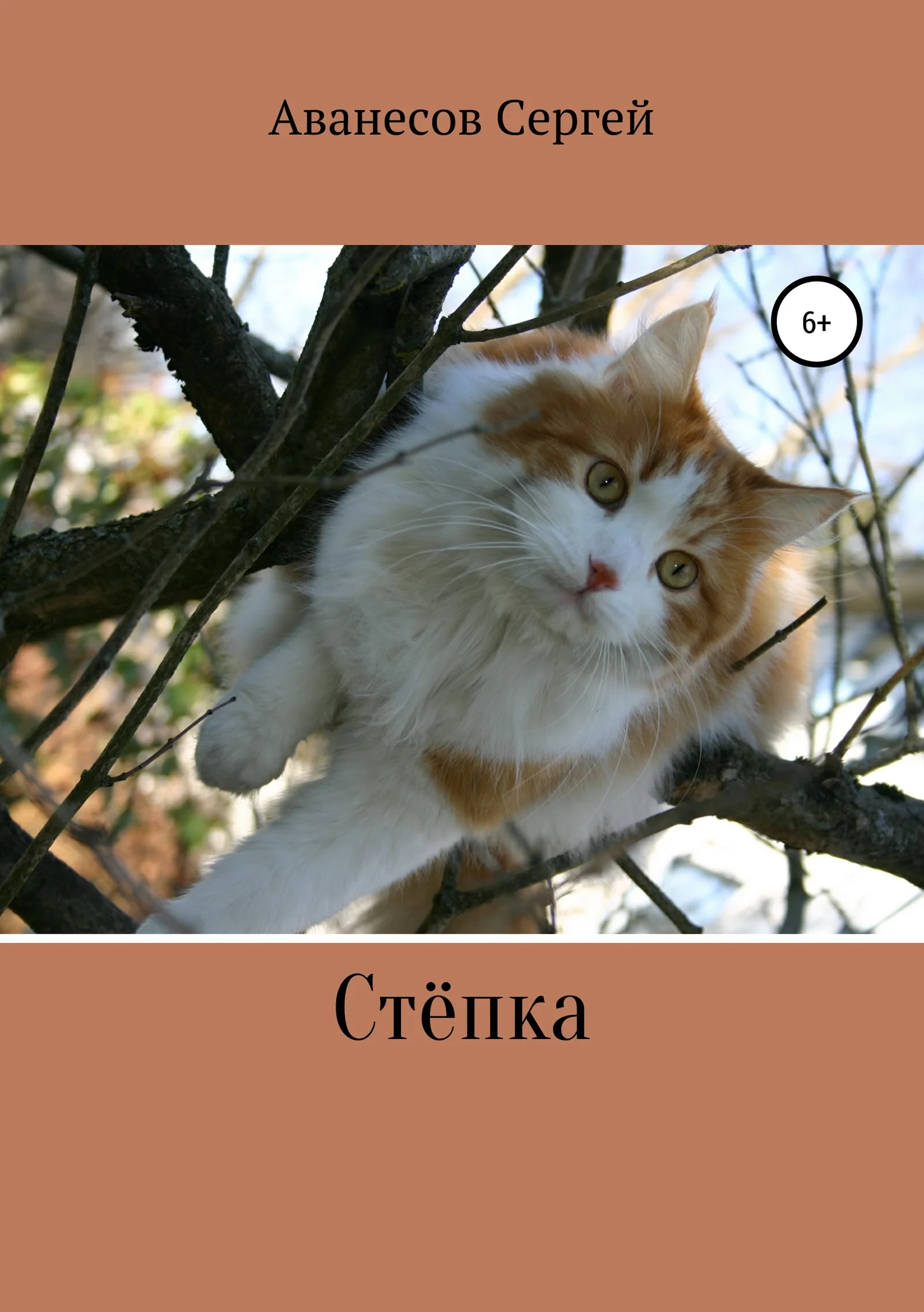 Обложка Степка