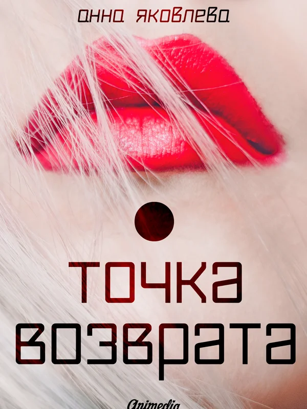 Обложка Точка возврата