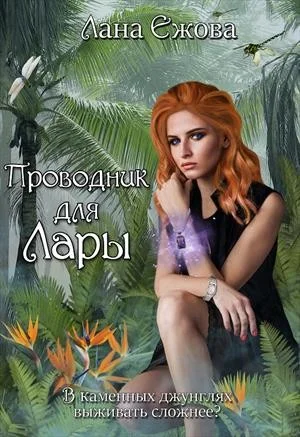 Обложка Проводник для Лары
