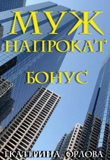 Обложка Муж напрокат. Бонус