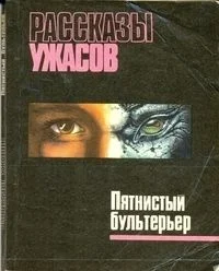 Обложка Янычары из Эмиллиона
