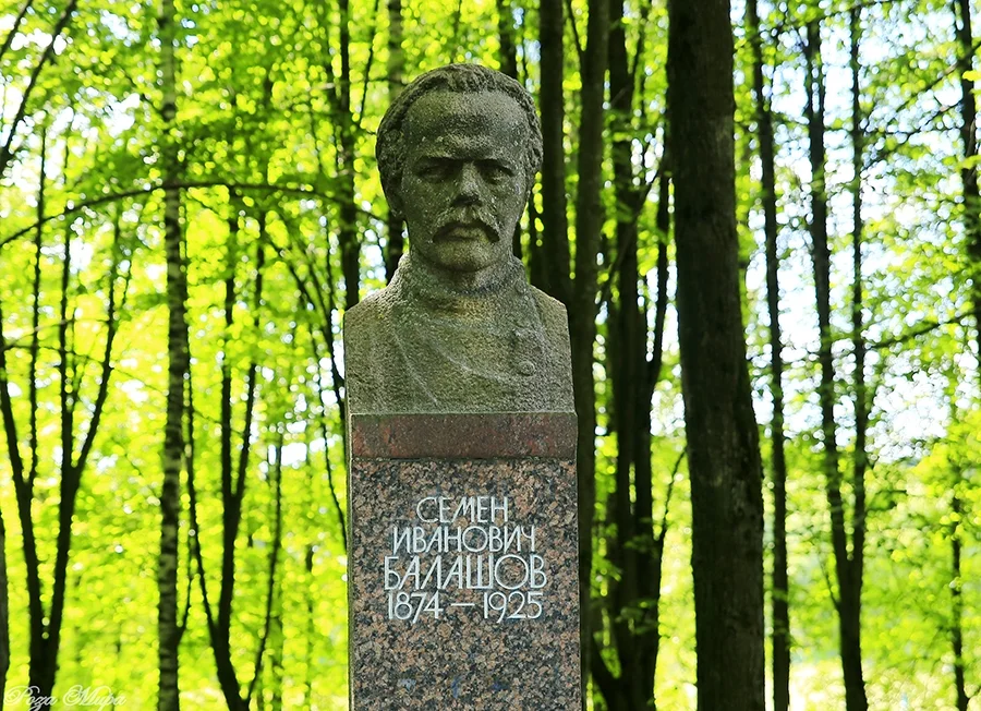 Обложка Стачечное движение в 1905 г. Возникновение Советов