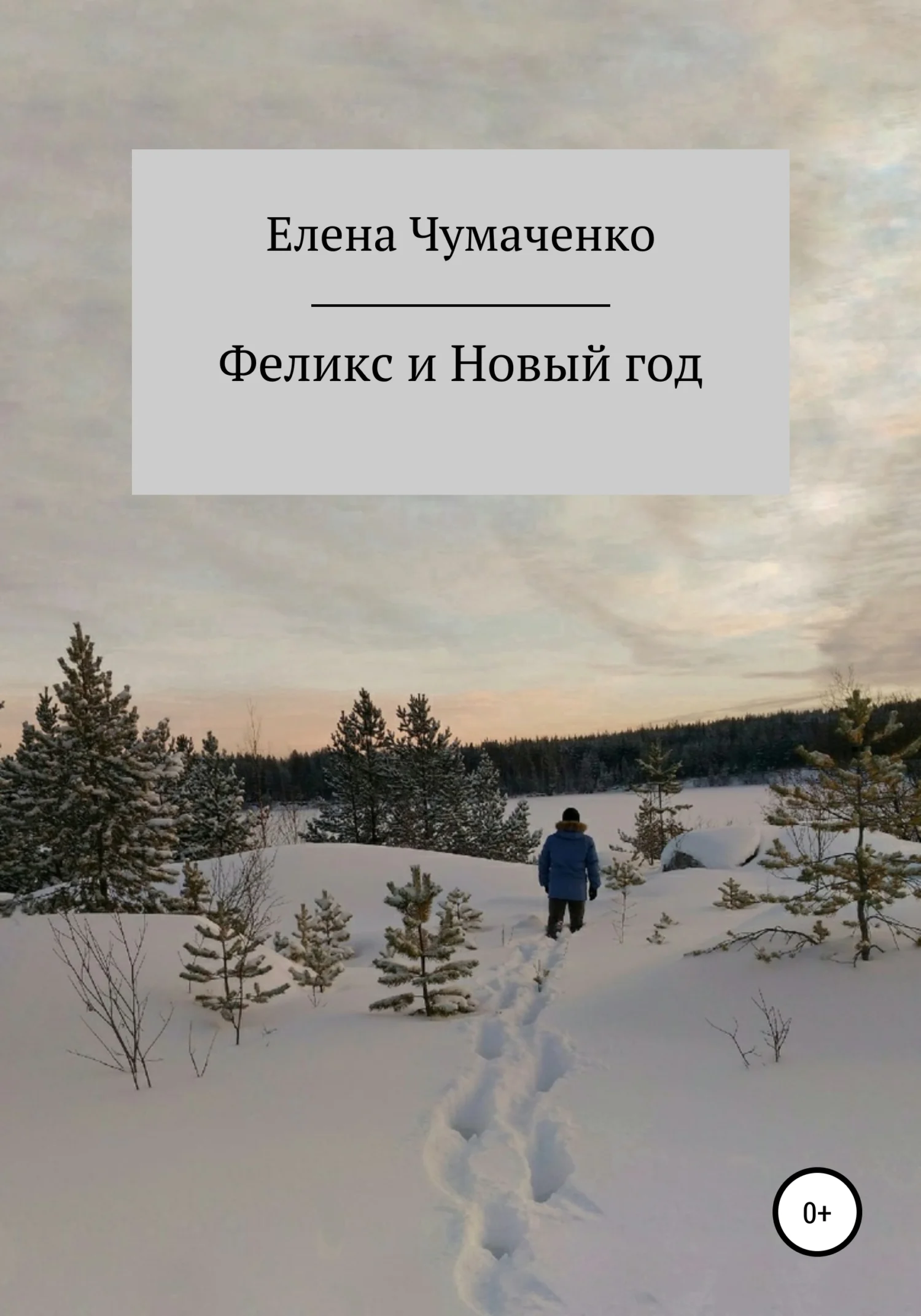 Обложка Феликс и Новый год