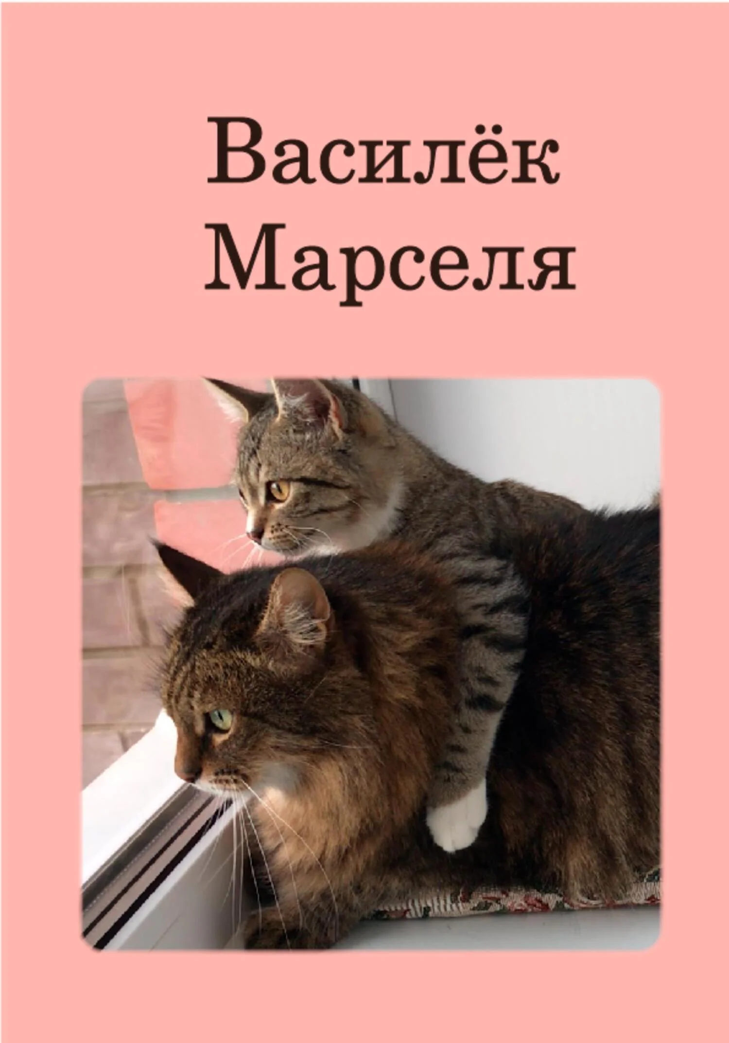Обложка Василёк Марселя