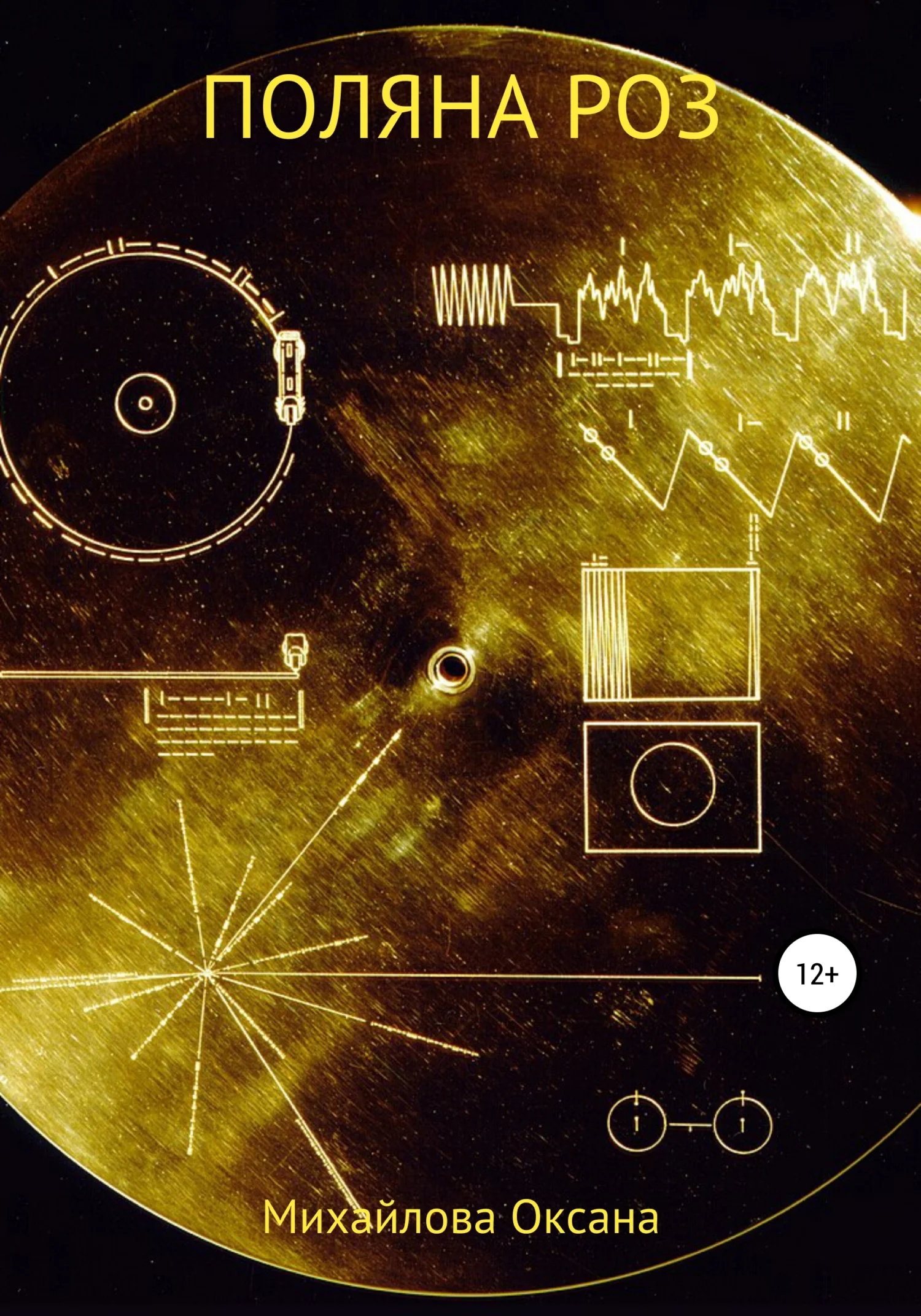 Обложка Поляна роз