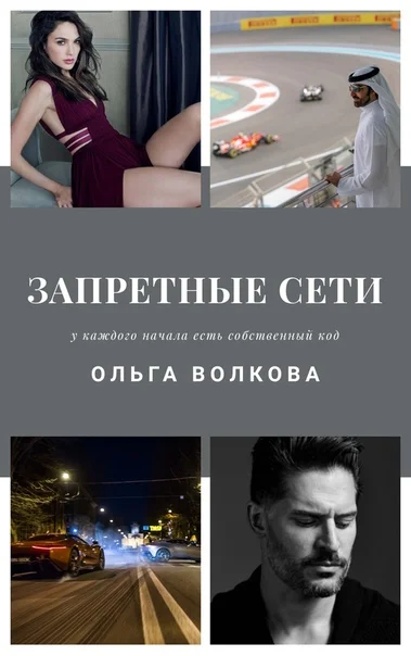 Обложка Запретные сети