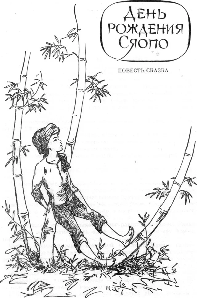 Обложка День рождения Сяопо