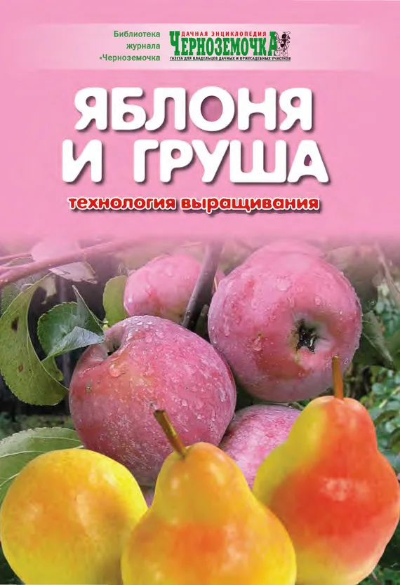 Обложка Яблоня и груша. Технология выращивания