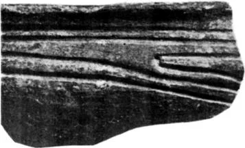 Обложка Древние транстихоокеанские связи: миф или реальность?