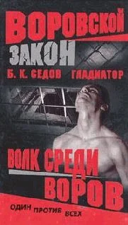 Обложка Волк среди воров