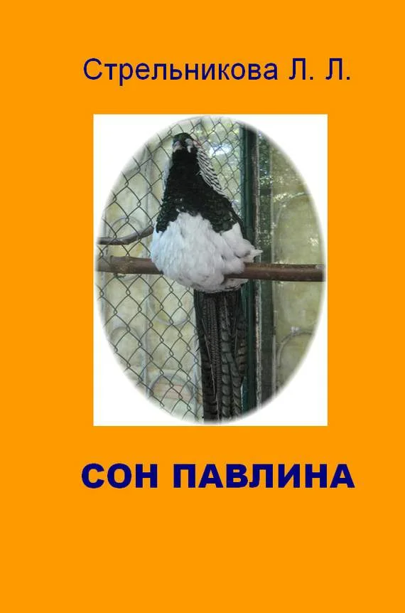 Обложка Сон павлина
