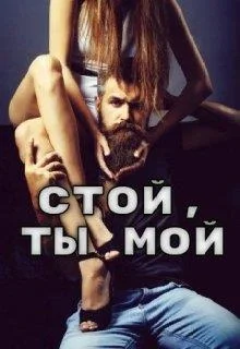 Обложка Стой, ты мой