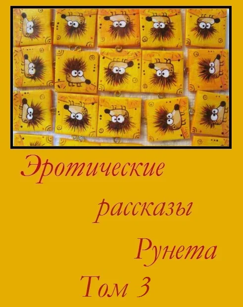 Обложка Эротические рассказы Рунета - Том 3