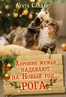 Обложка Хорошие мужья надевают на Новый год... рога