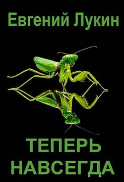 Обложка Теперь навсегда