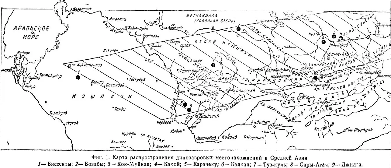 Обложка Динозавровый горизонт Средней Азии и некоторые вопросы стратиграфии