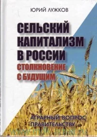 Обложка Сельский капитализм в России: Столкновение с будущим