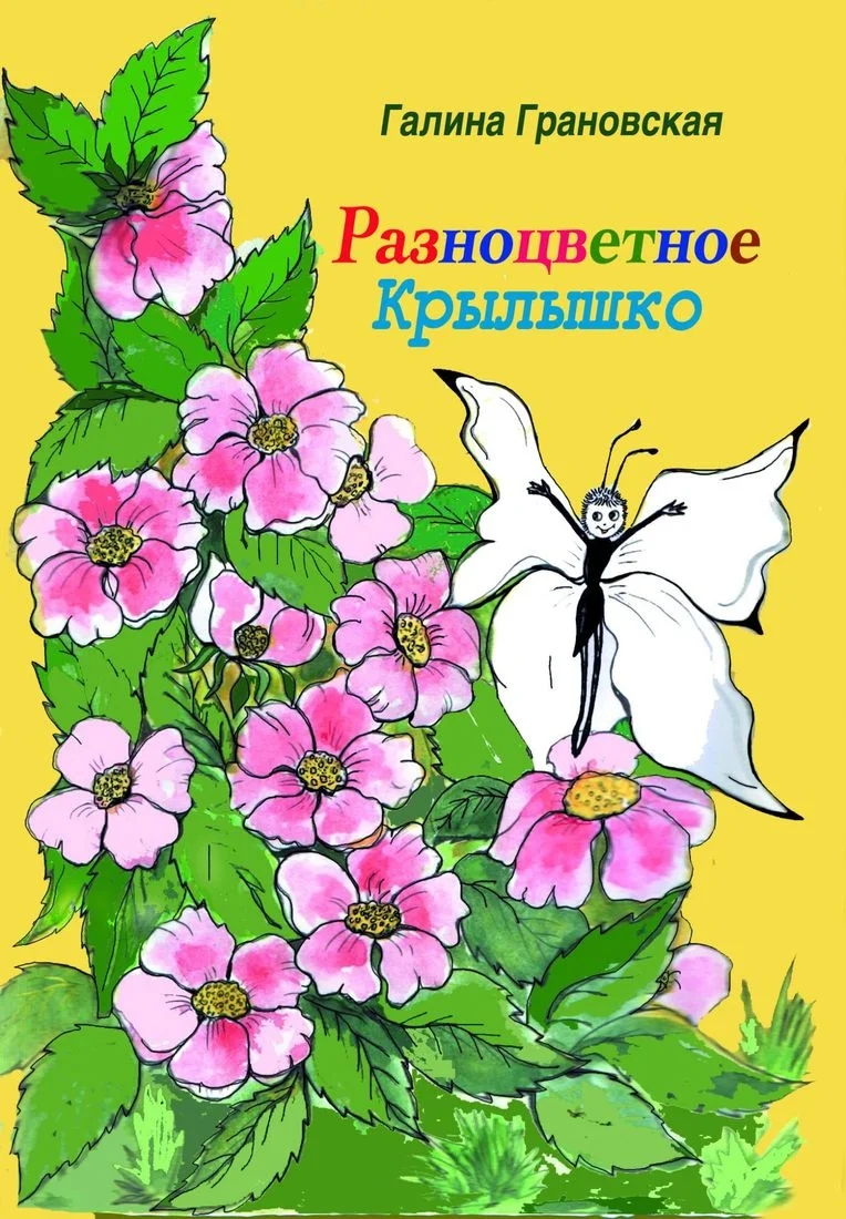Обложка Разноцветное Крылышко
