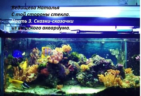 Обложка Сказки-сказочки