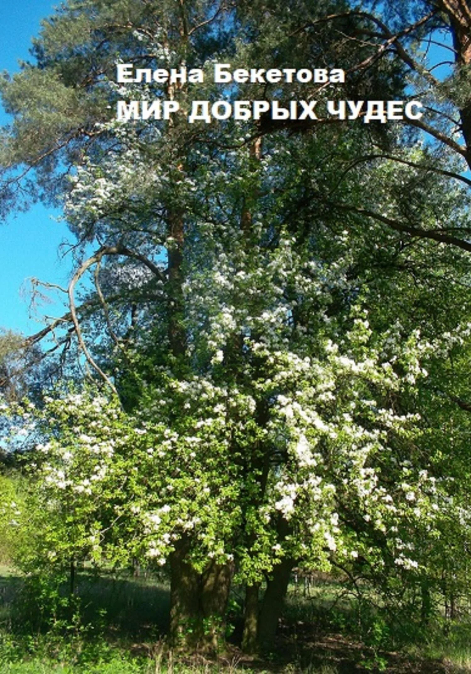 Обложка Мир добрых чудес