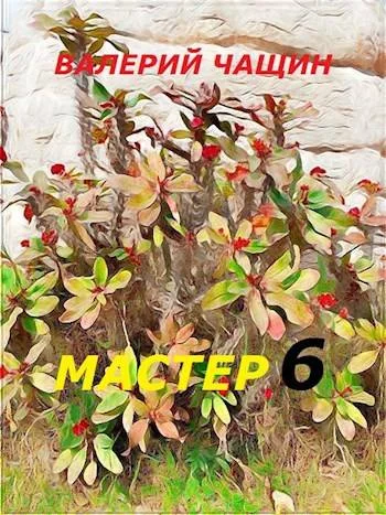 Обложка Мастер 6
