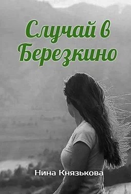 Обложка Случай в Березкино
