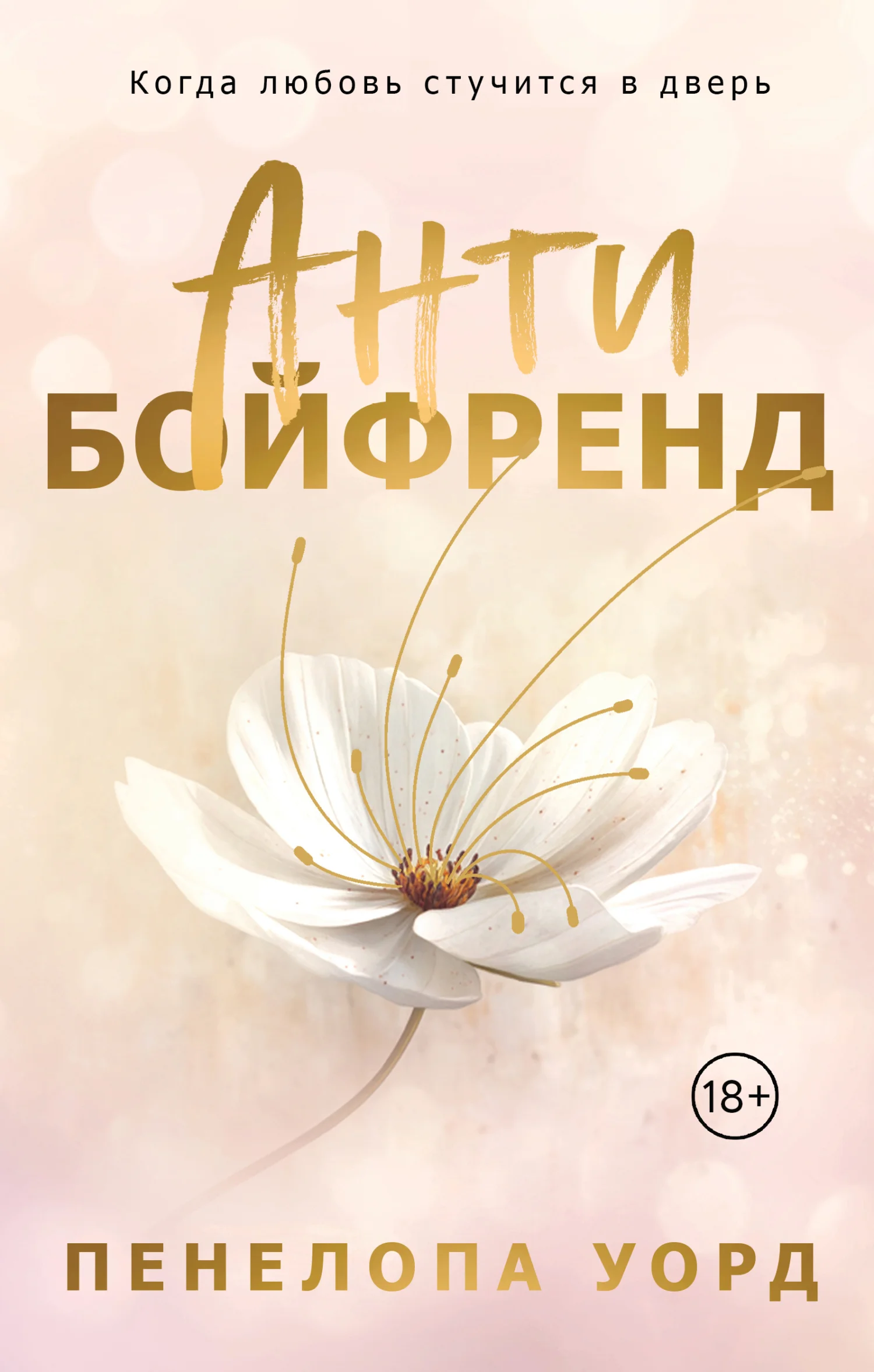 Обложка Антибойфренд