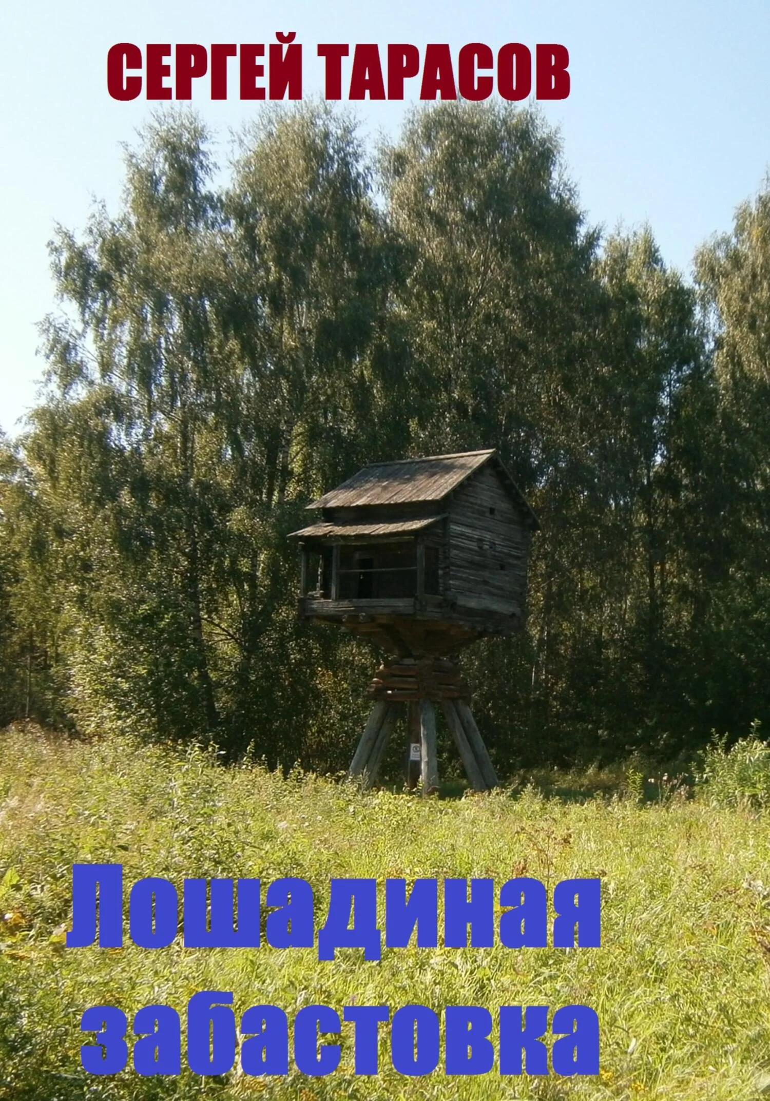 Обложка Лошадиная забастовка