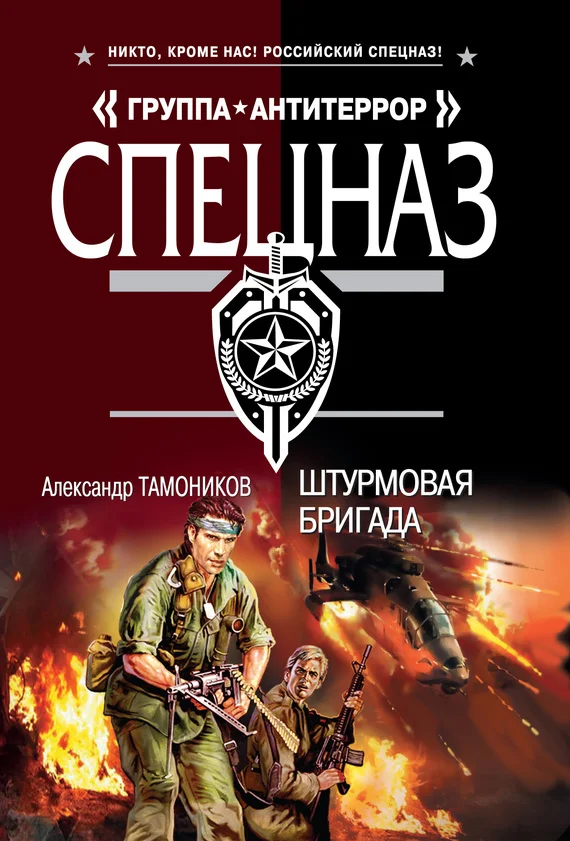 Обложка Штурмовая бригада