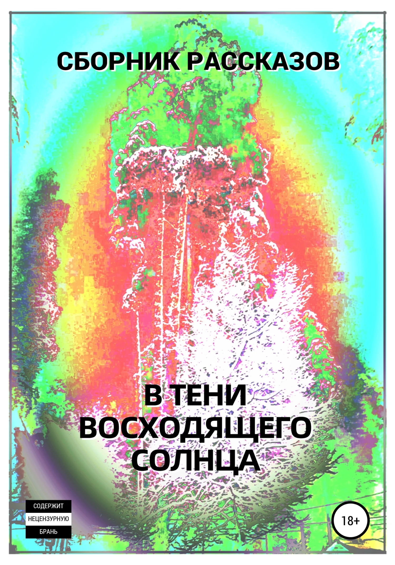 Обложка В тени восходящего солнца