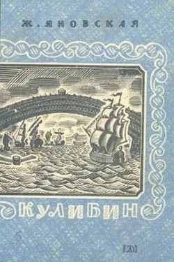Обложка Кулибин