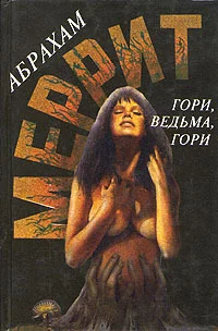 Обложка Гори, ведьма, гори!
