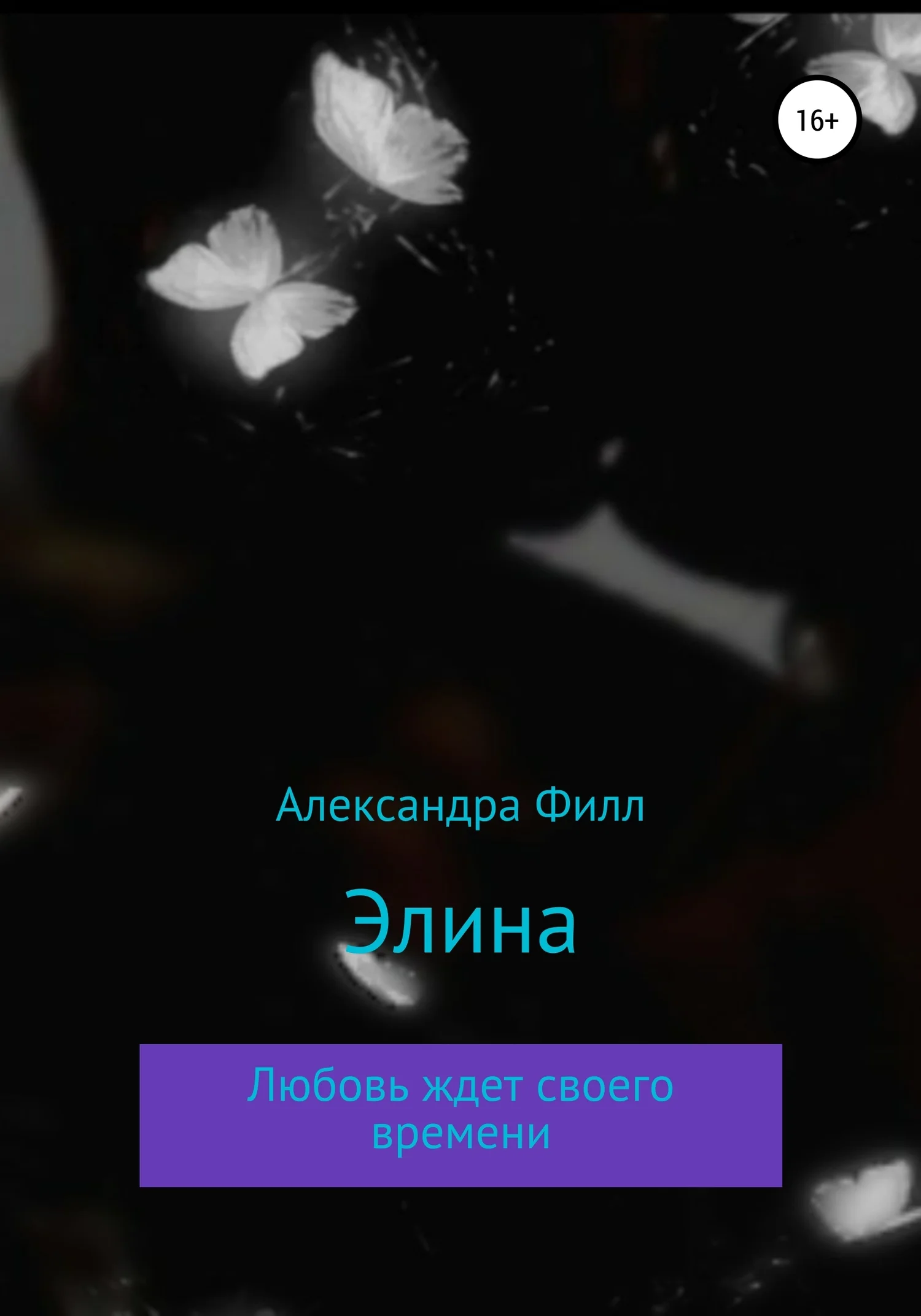 Обложка Элина