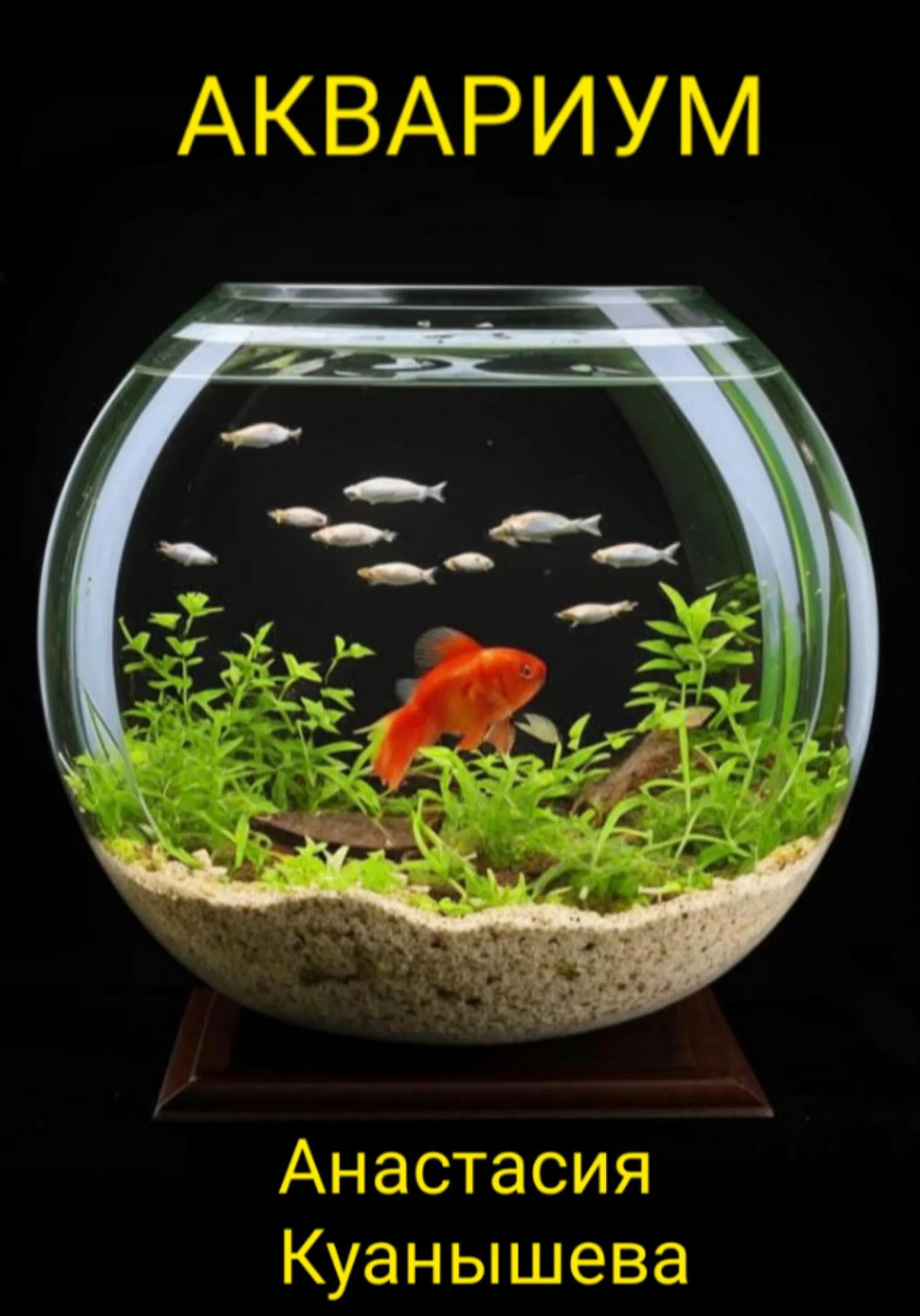 Обложка Аквариум