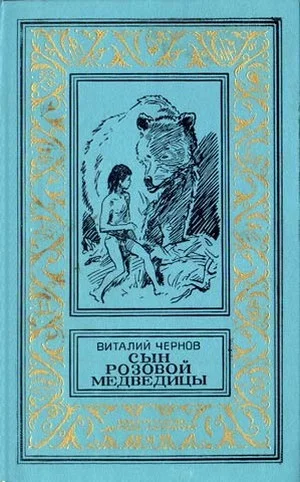 Обложка Сын Розовой Медведицы