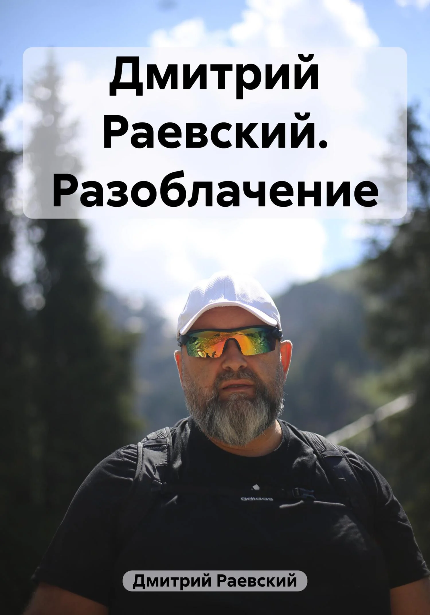 Обложка Дмитрий Раевский. Разоблачение