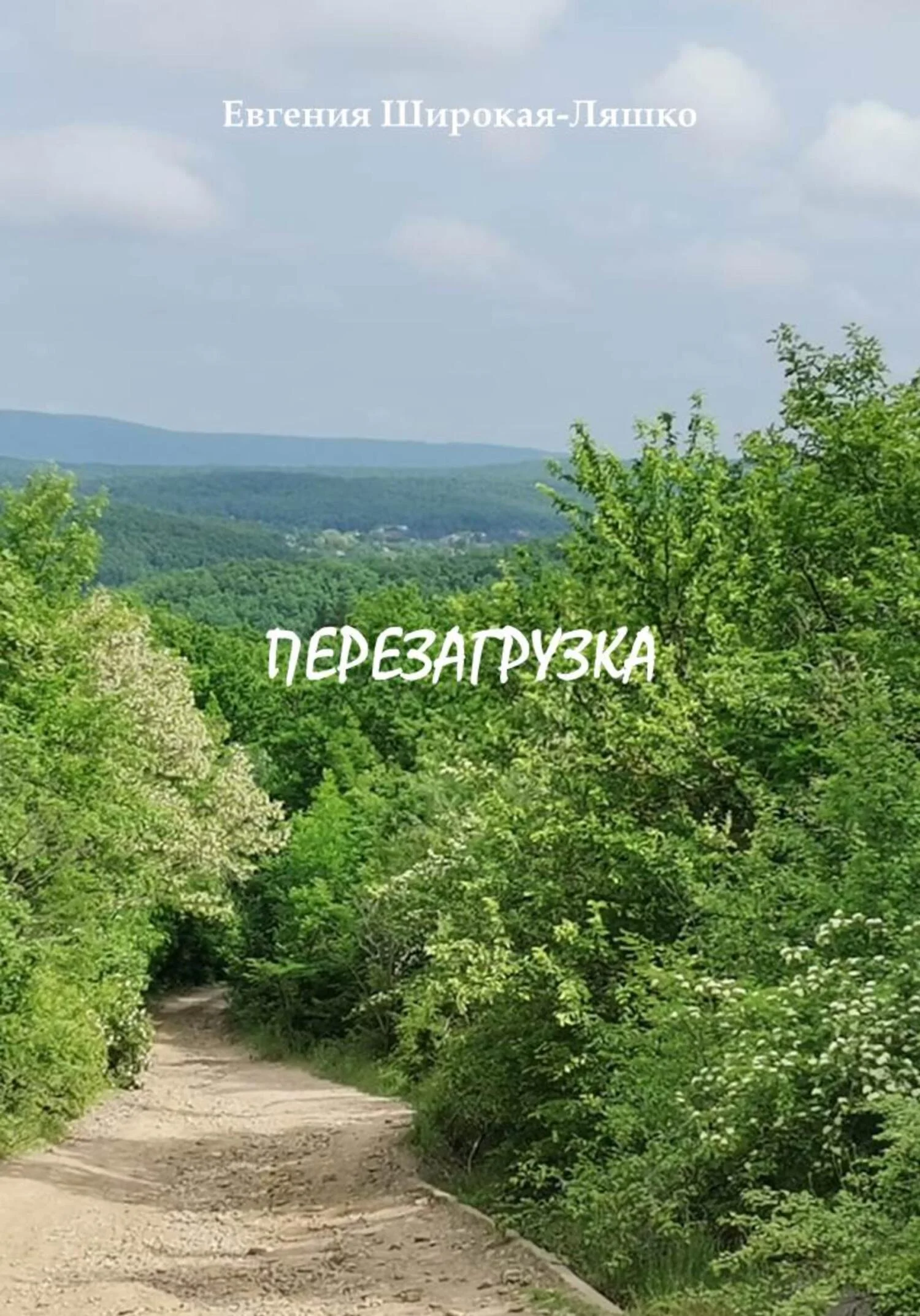 Обложка Перезагрузка
