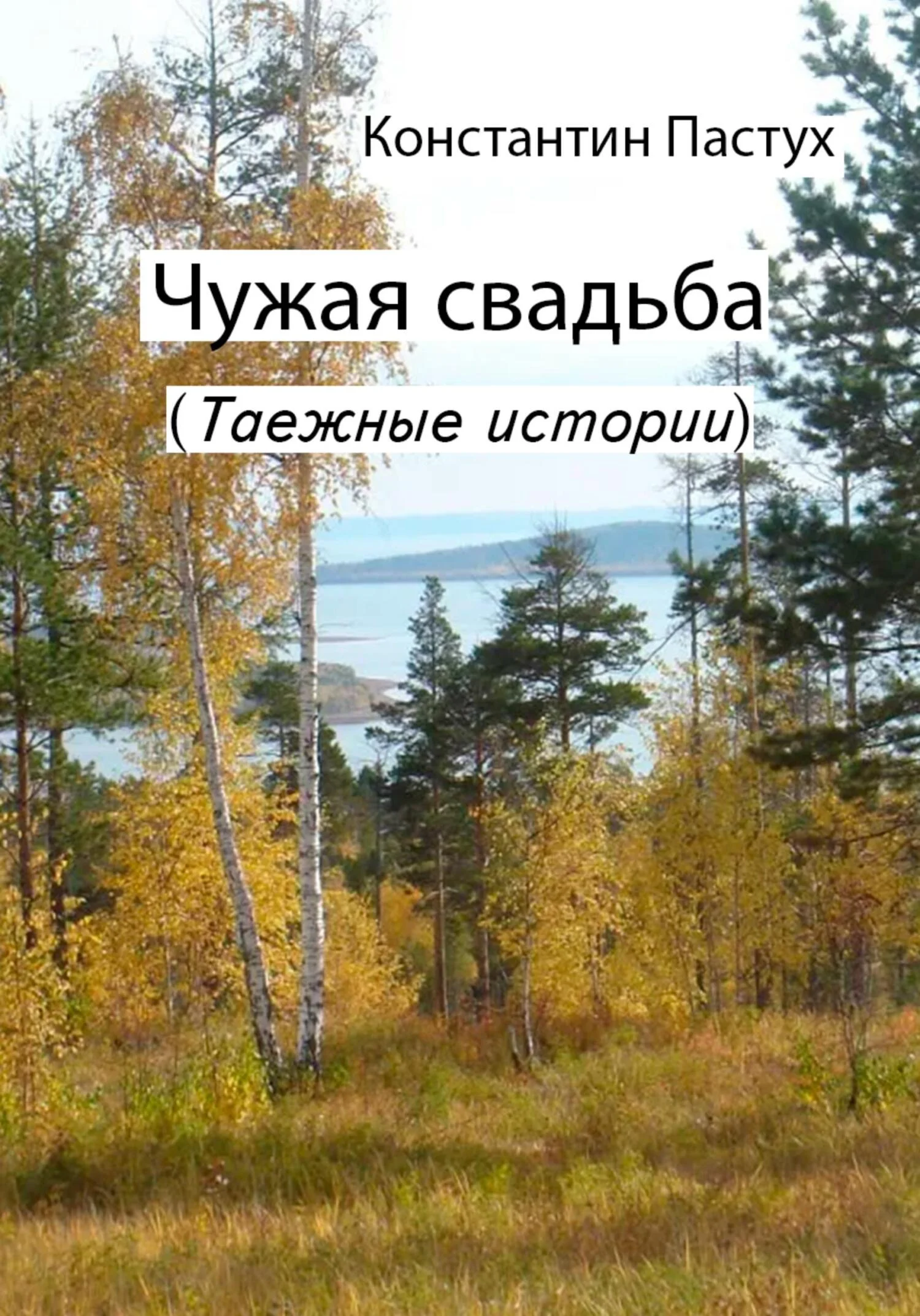 Обложка Чужая свадьба