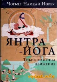 Обложка Введение в янтра-йогу